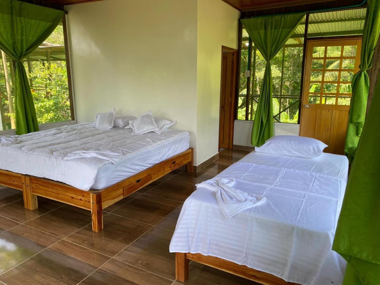 Amazon Acai Lodge Leticia Luaran gambar