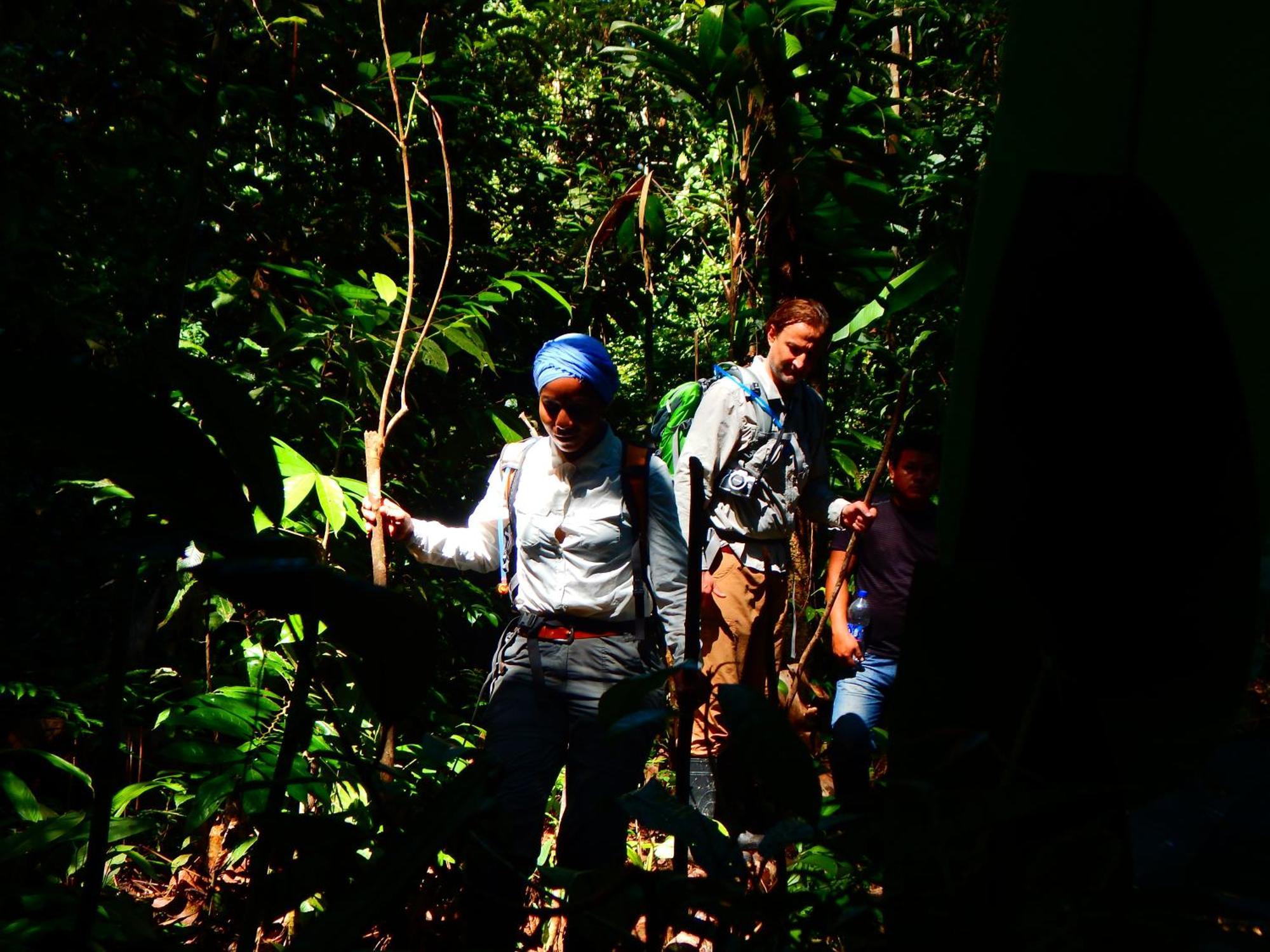 Amazon Acai Lodge Leticia Luaran gambar