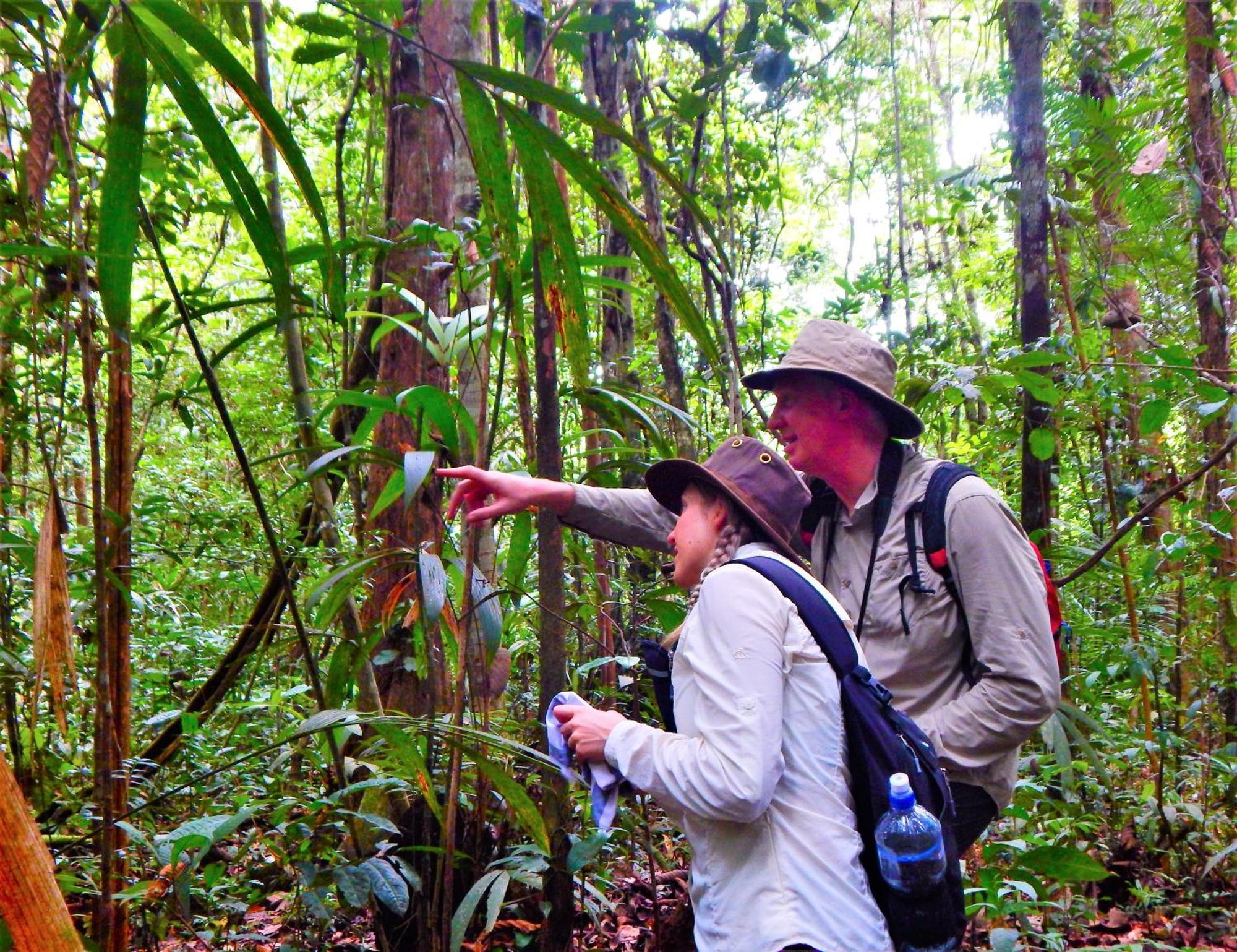 Amazon Acai Lodge Leticia Luaran gambar