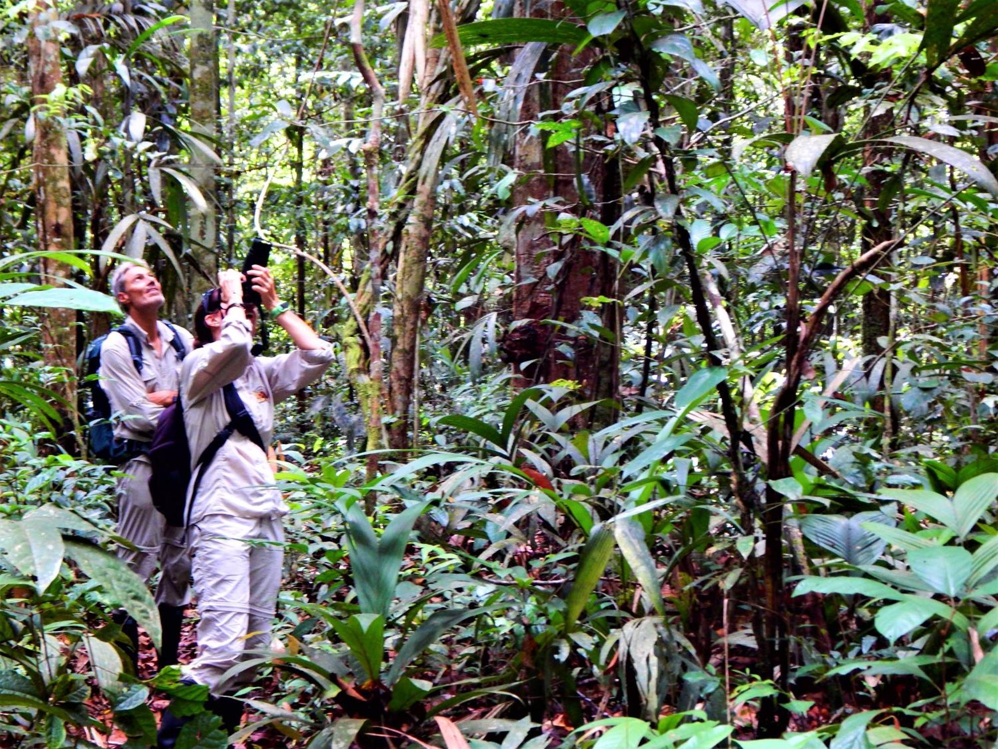 Amazon Acai Lodge Leticia Luaran gambar