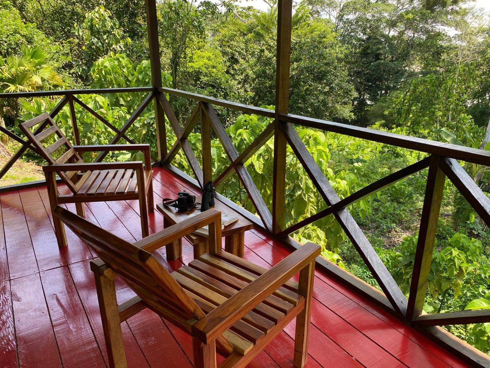 Amazon Acai Lodge Leticia Luaran gambar