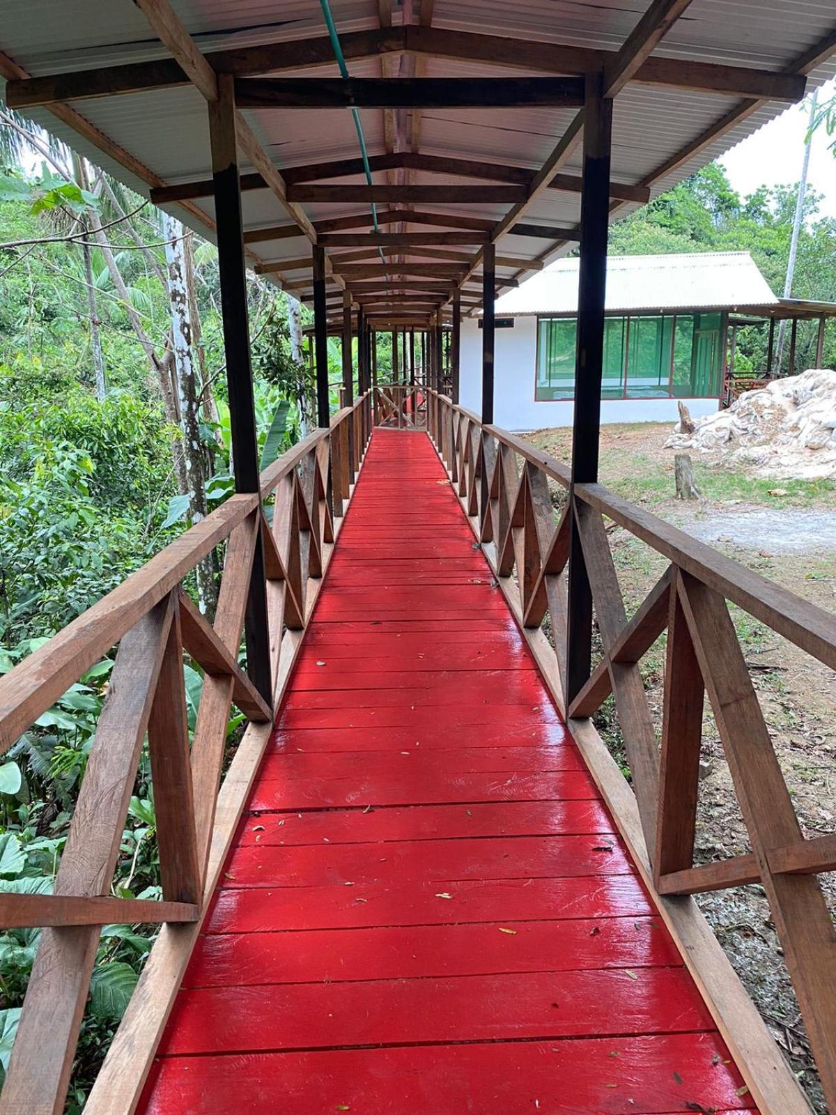 Amazon Acai Lodge Leticia Luaran gambar