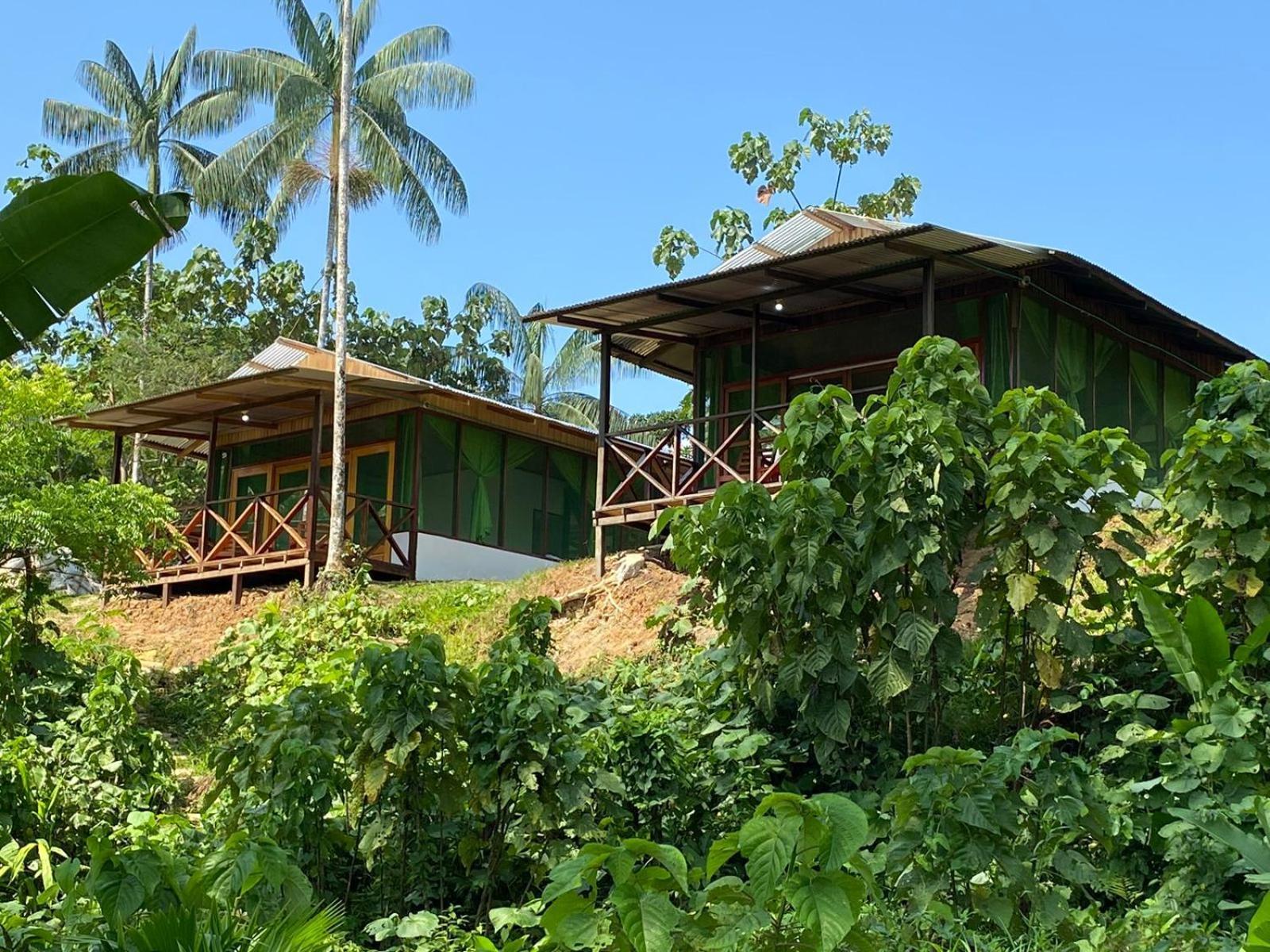 Amazon Acai Lodge Leticia Luaran gambar