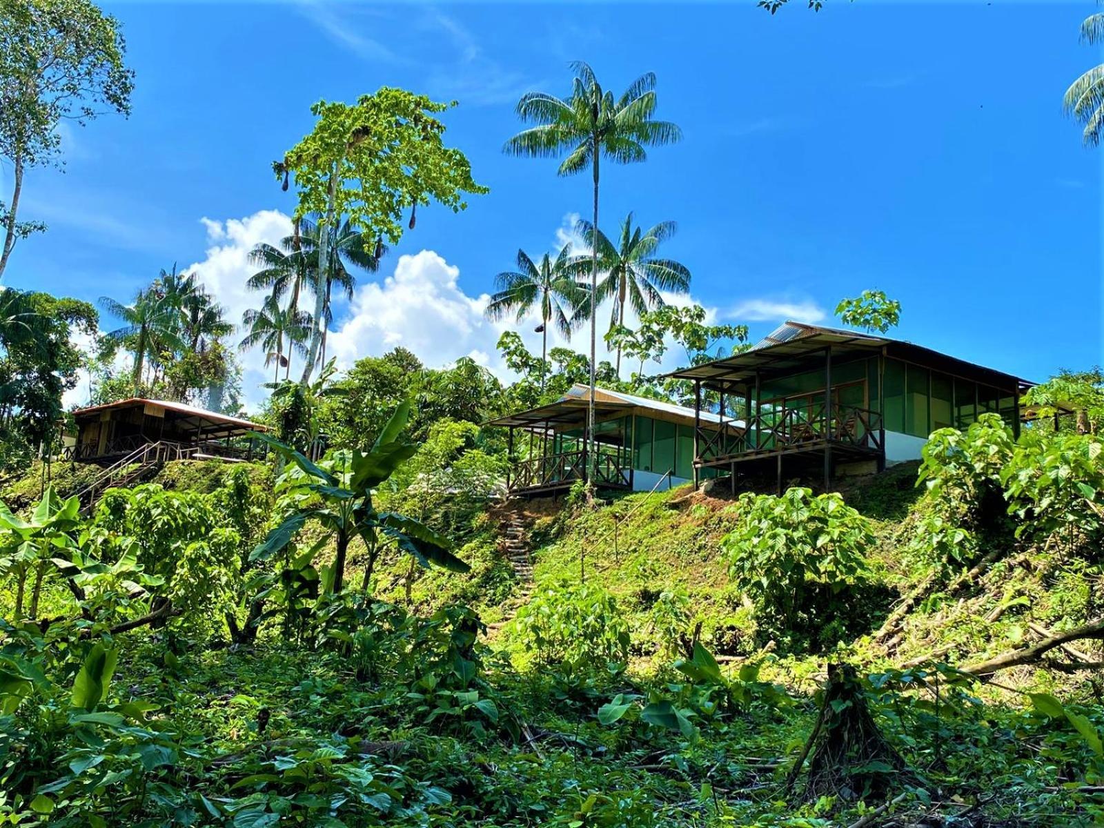Amazon Acai Lodge Leticia Luaran gambar
