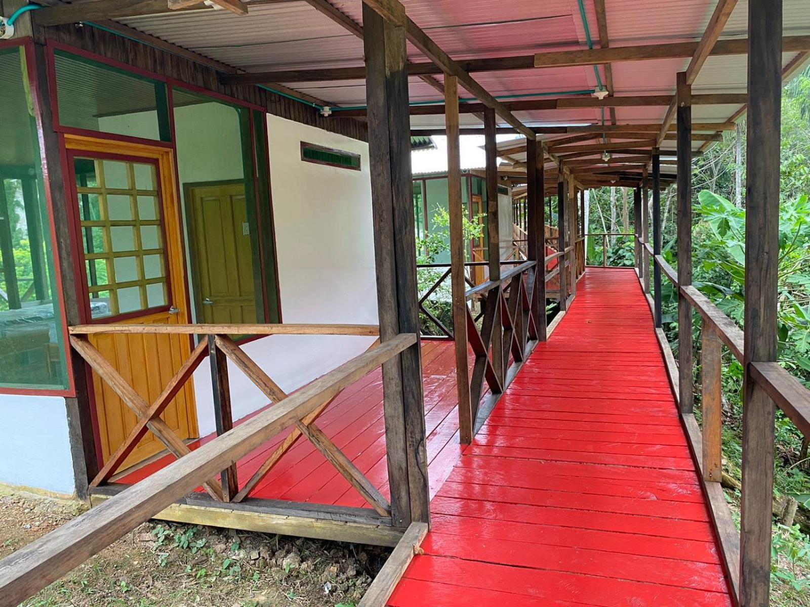 Amazon Acai Lodge Leticia Luaran gambar