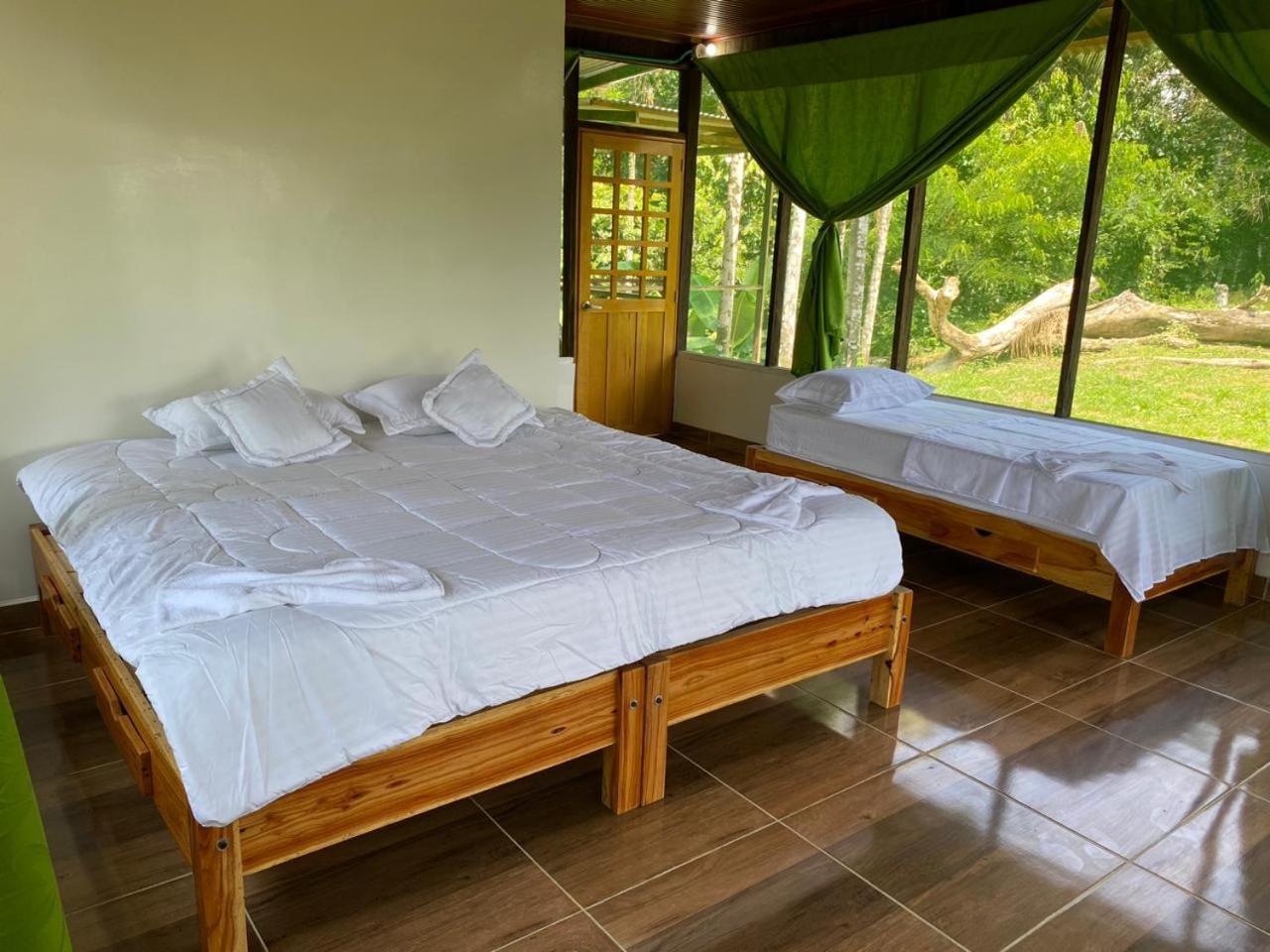 Amazon Acai Lodge Leticia Luaran gambar