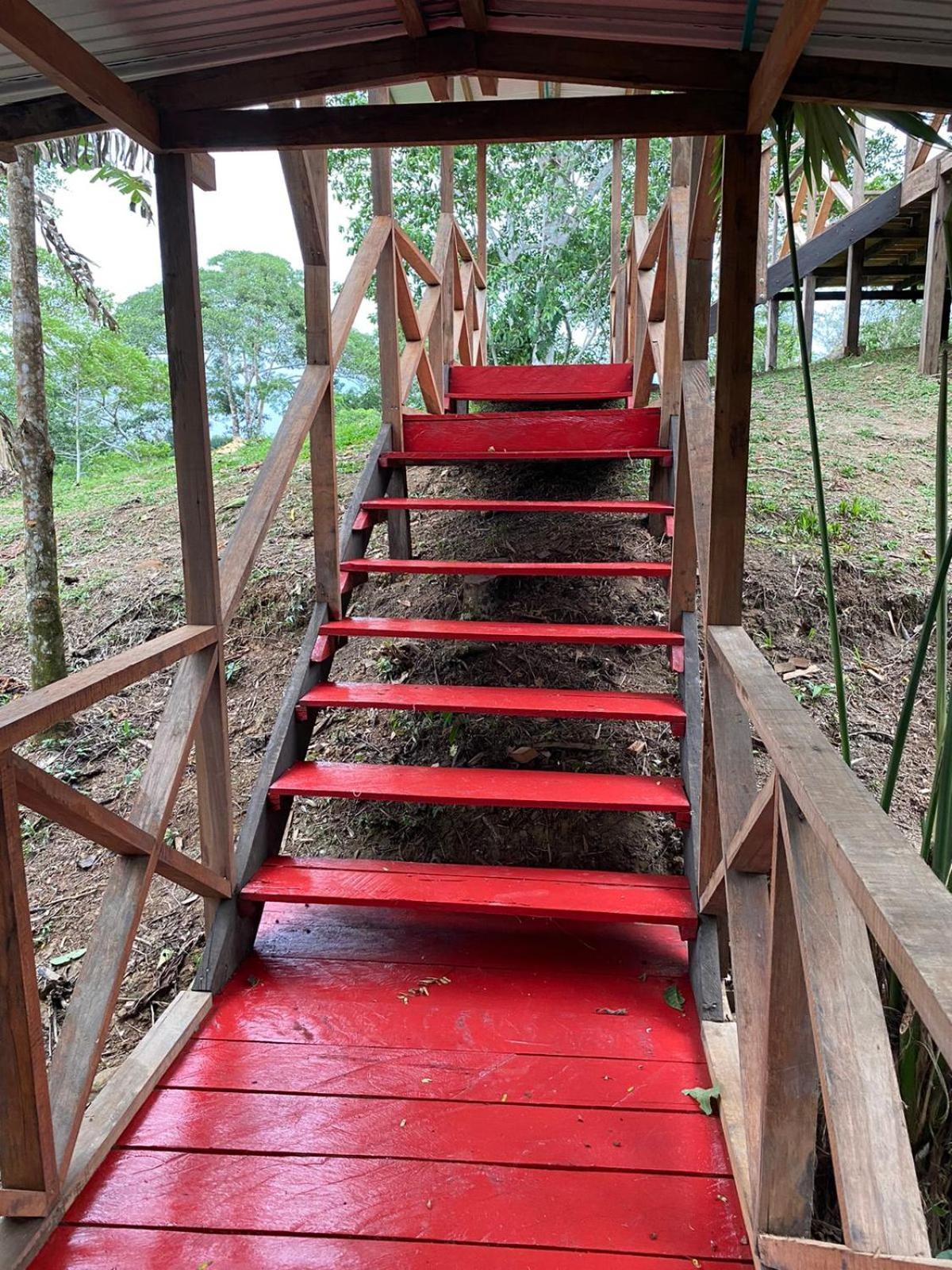 Amazon Acai Lodge Leticia Luaran gambar