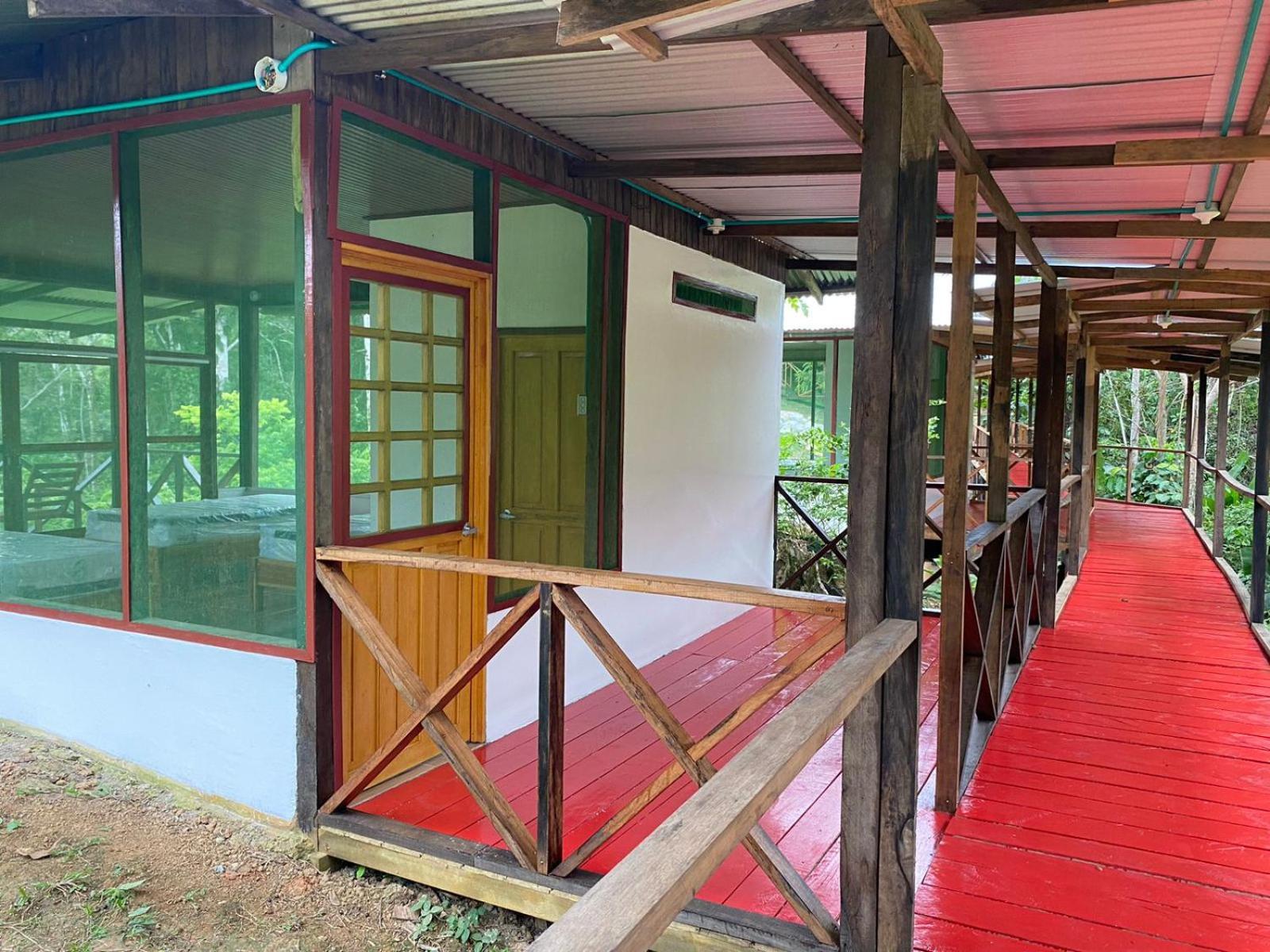 Amazon Acai Lodge Leticia Luaran gambar
