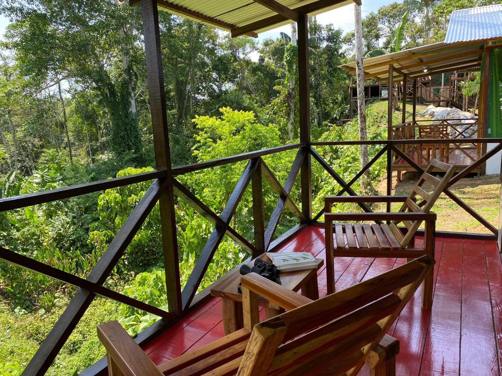 Amazon Acai Lodge Leticia Luaran gambar
